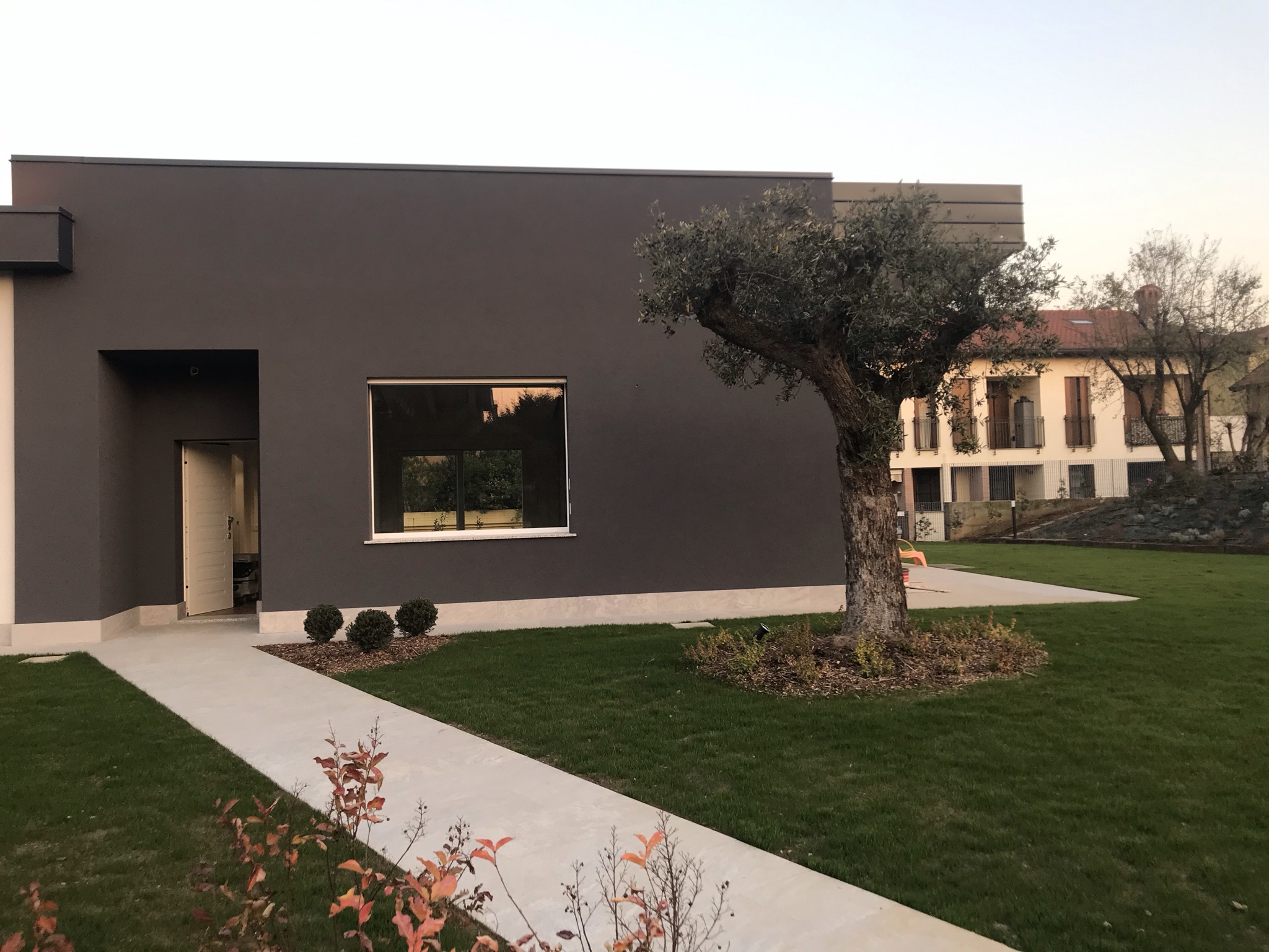 Fronte scuro della casa e ulivo nel giardino